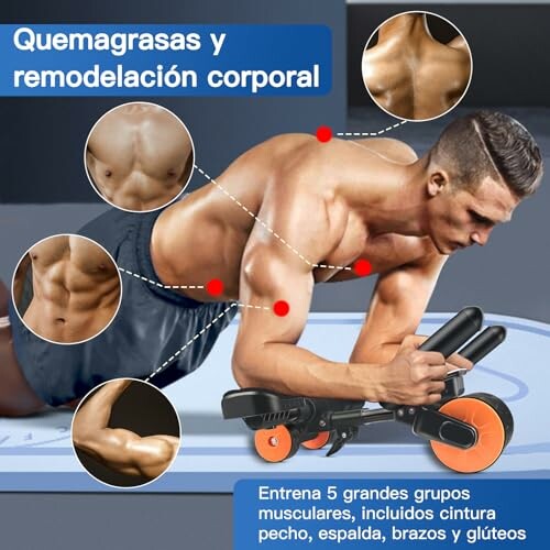 Hombre usando un rodillo abdominal para hacer ejercicio, mostrando grupos musculares.