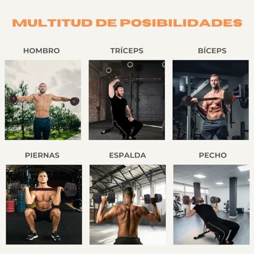 Collage de ejercicios de entrenamiento de fuerza para diferentes grupos musculares.